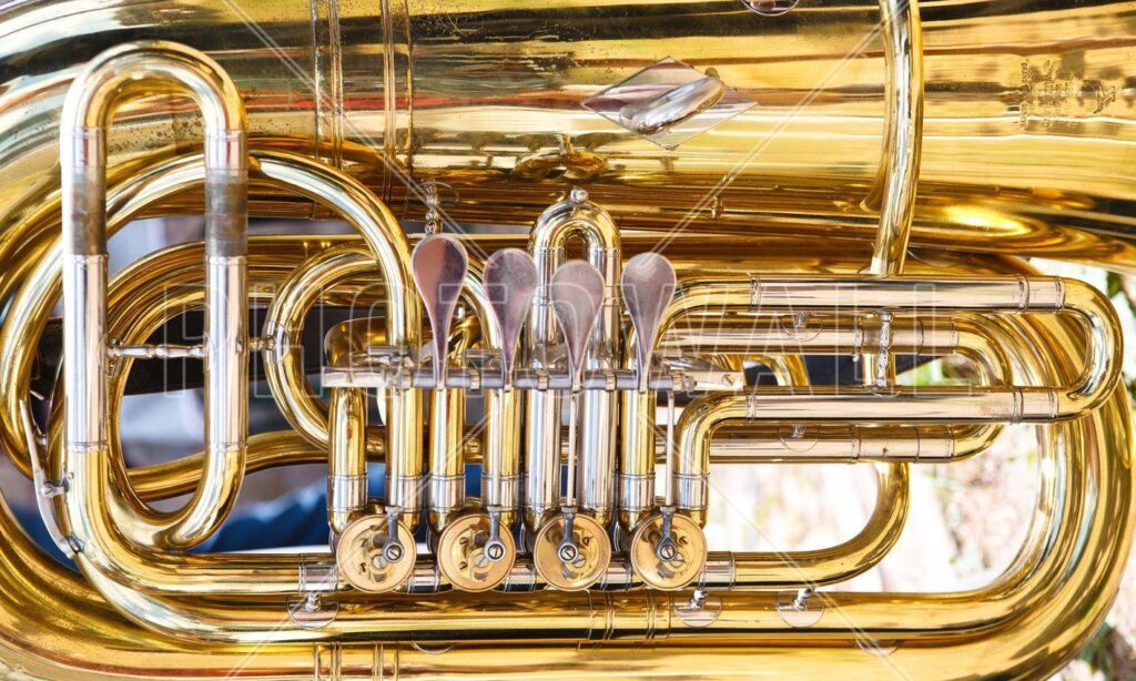Brass Horn Valve