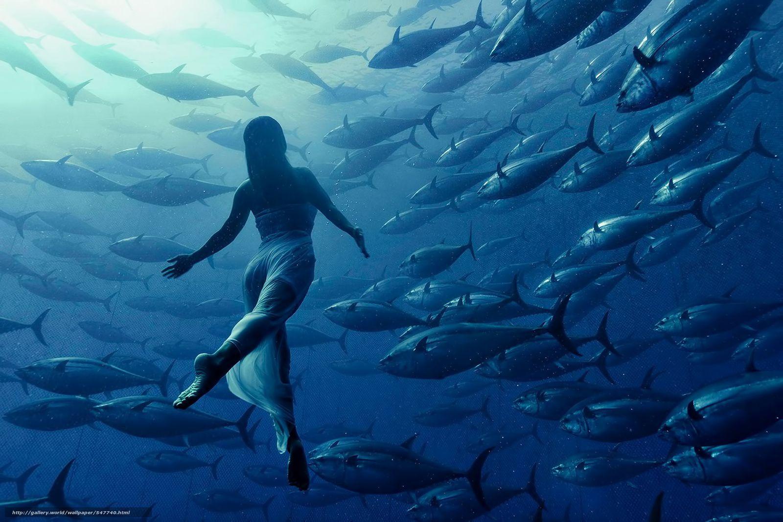 Download wallpapers girl, FISH, tuna, underwater free desktop