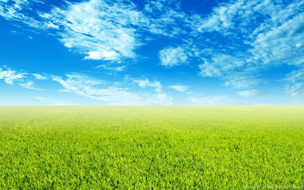 Sky And Grass Wallpapers Desk 4K Backgrounds