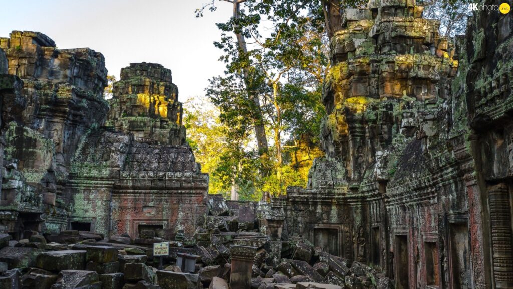 Trees, temple, viewes, Angkor Wat, Cambodia, ruins