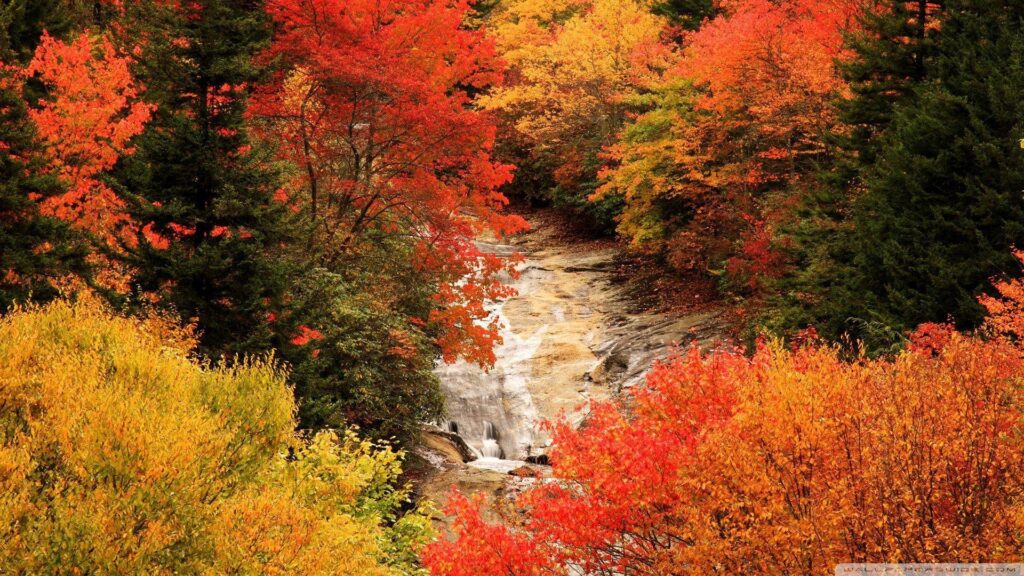 Blue Ridge Parkway, North Carolina, Autumn ❤ K 2K Desktop