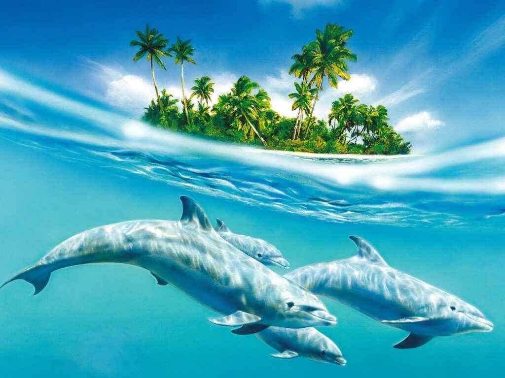 Dolphin Animated wallpapers