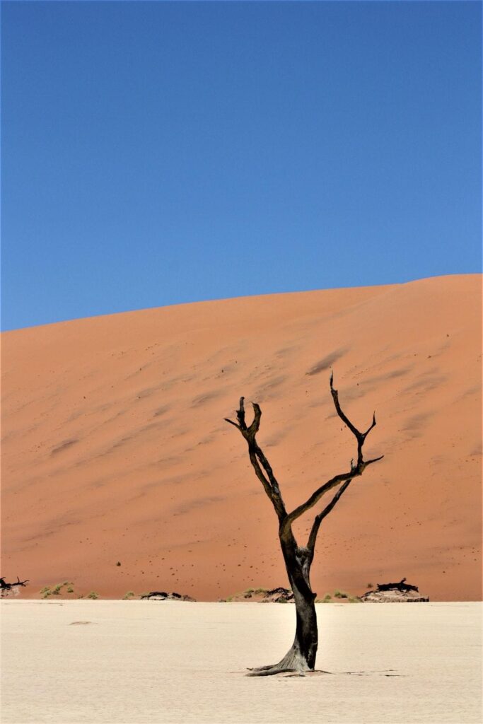 Sossusvlei, Namibia Pictures