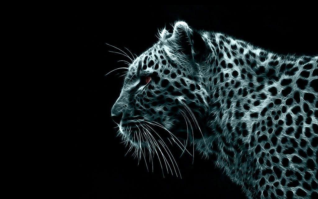 Pix For – White Cheetah Wallpapers