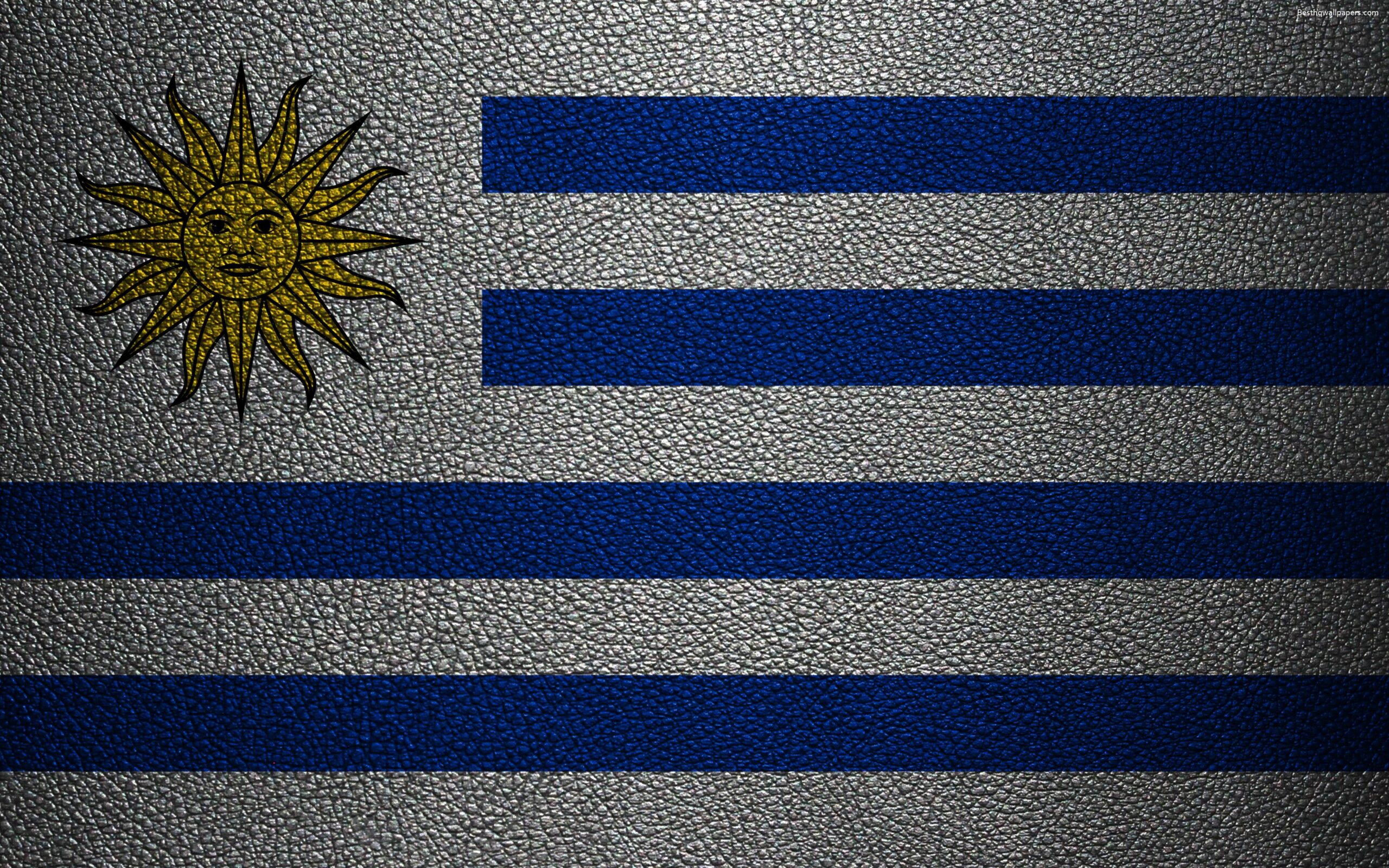 Download wallpapers Flag of Uruguay, k, leather texture, Uruguayan