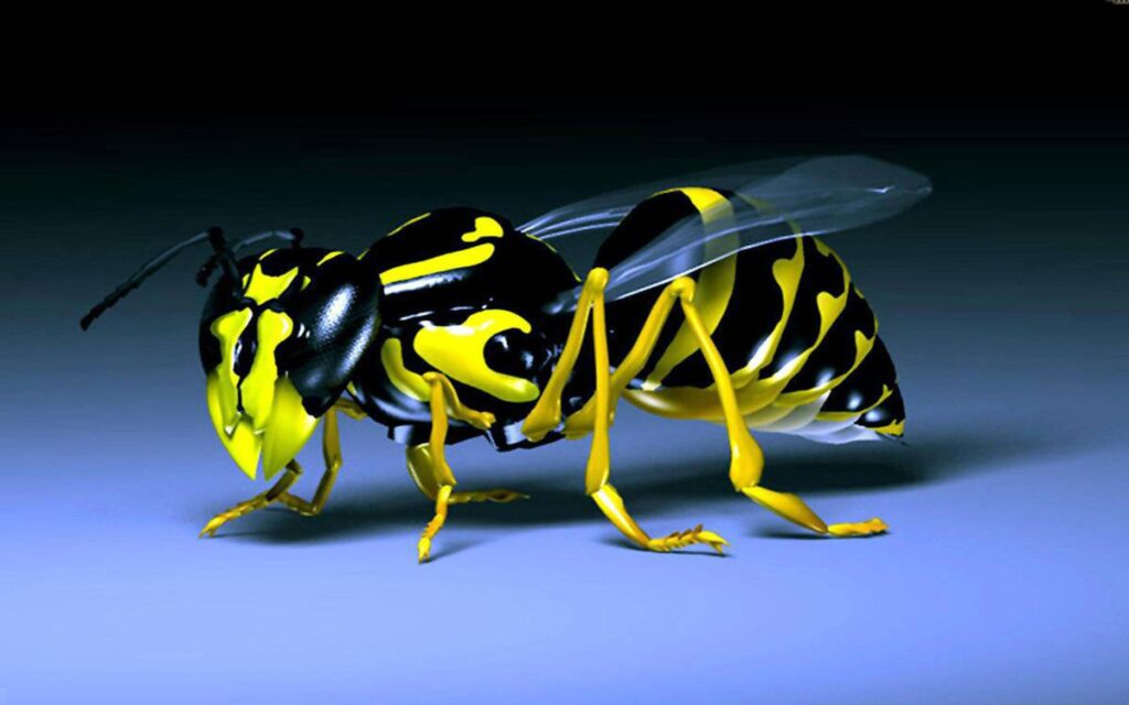 Wasp Black And Yellow Insect Desk 4K 2K Wallpapers