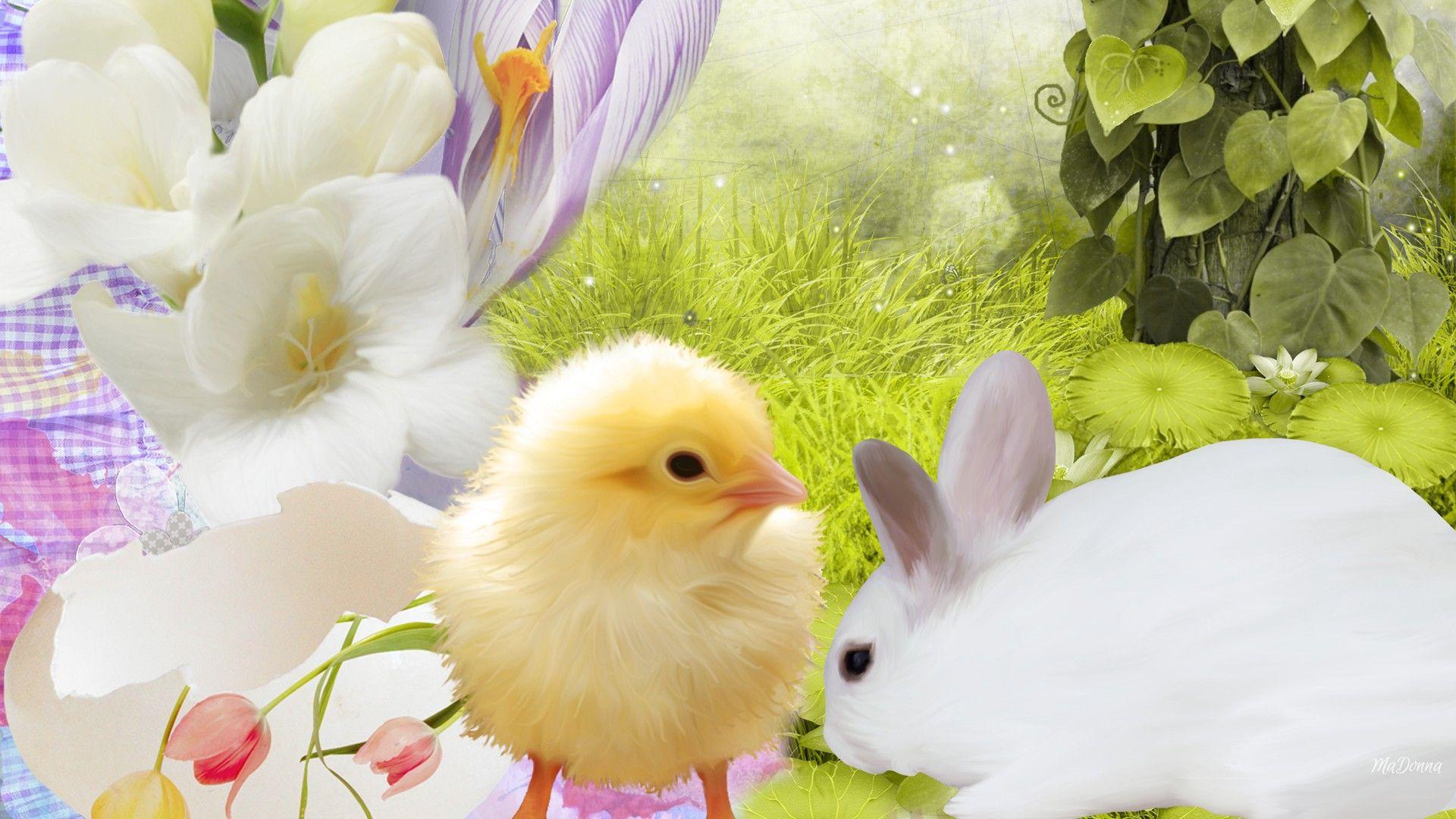 Bunny and Chick Easter Wallpapers