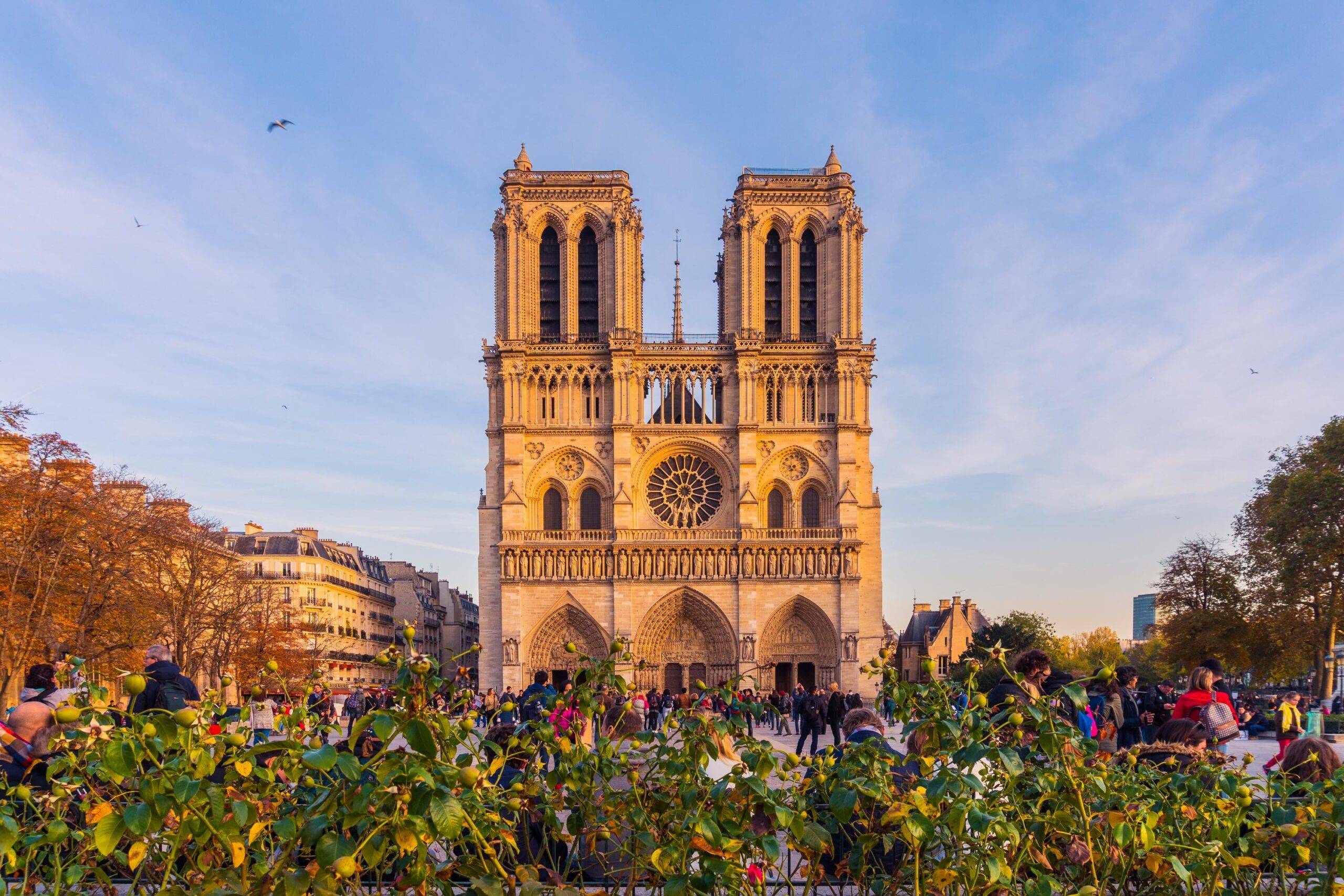 Things You Shouldn’t Miss while Visiting the Notre Dame