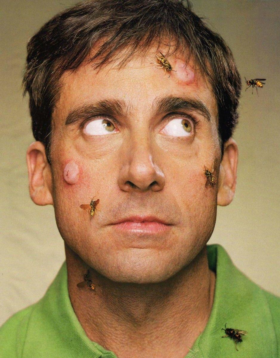 Steve Carell photo of pics, wallpapers