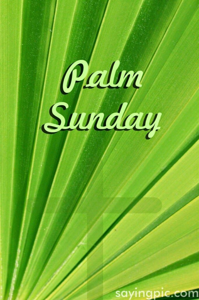 Palm Sunday Quotes, Wallpaper and wallpapers for Celebration of Palm