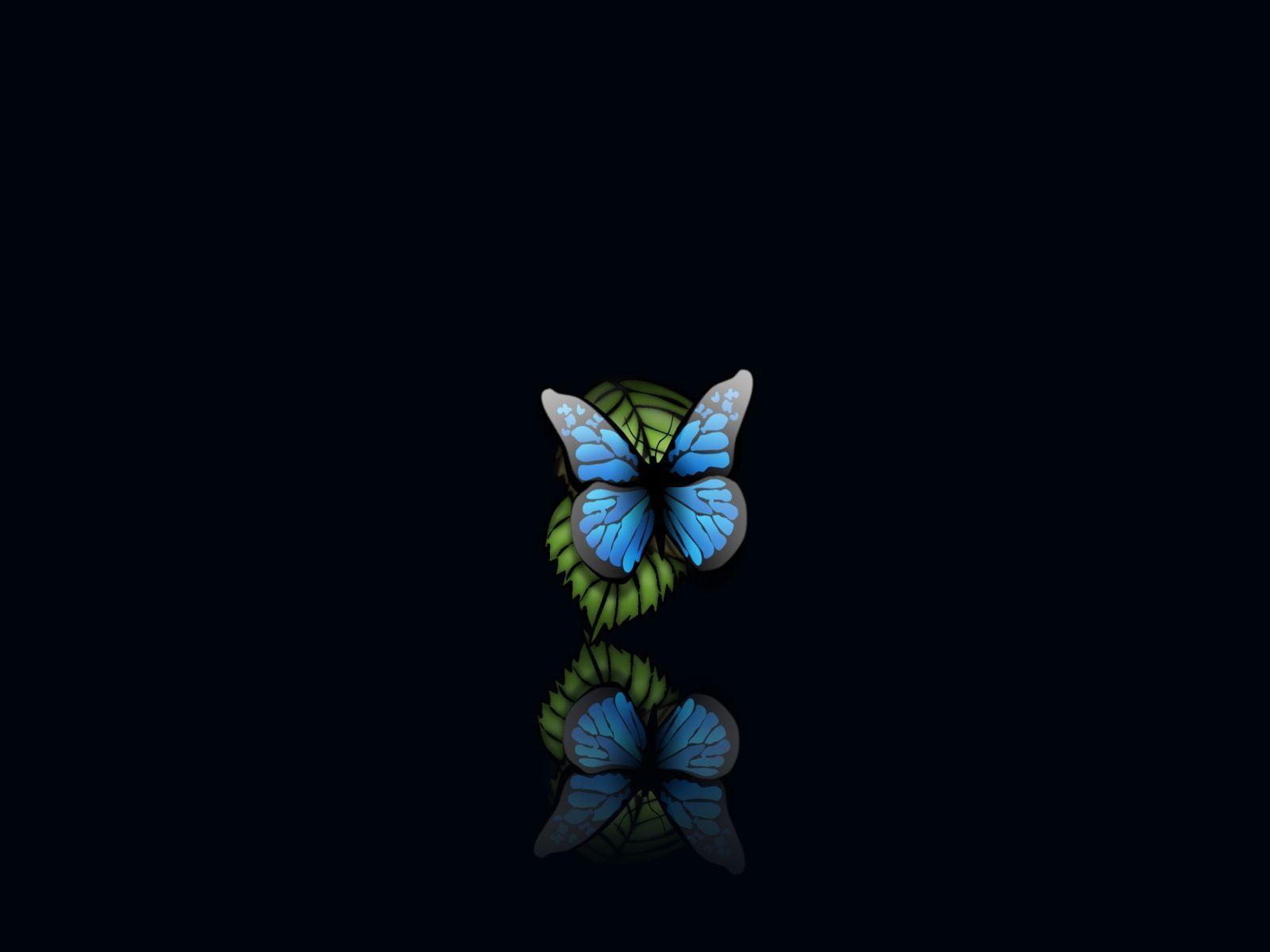 Butterfly wallpapers 2K with beauty,butterfly wallpapers Wallpaper with