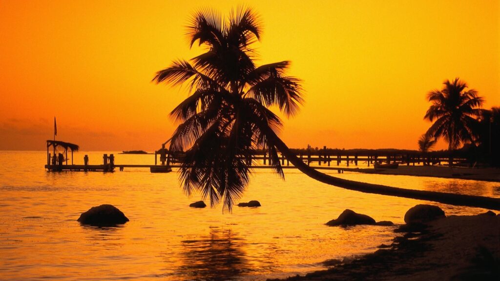Florida keys nature silhouettes sunset wallpapers