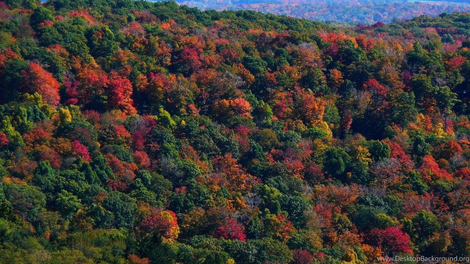 MLeWallpapers Appalachian Mountains In Fall Desk 4K Backgrounds