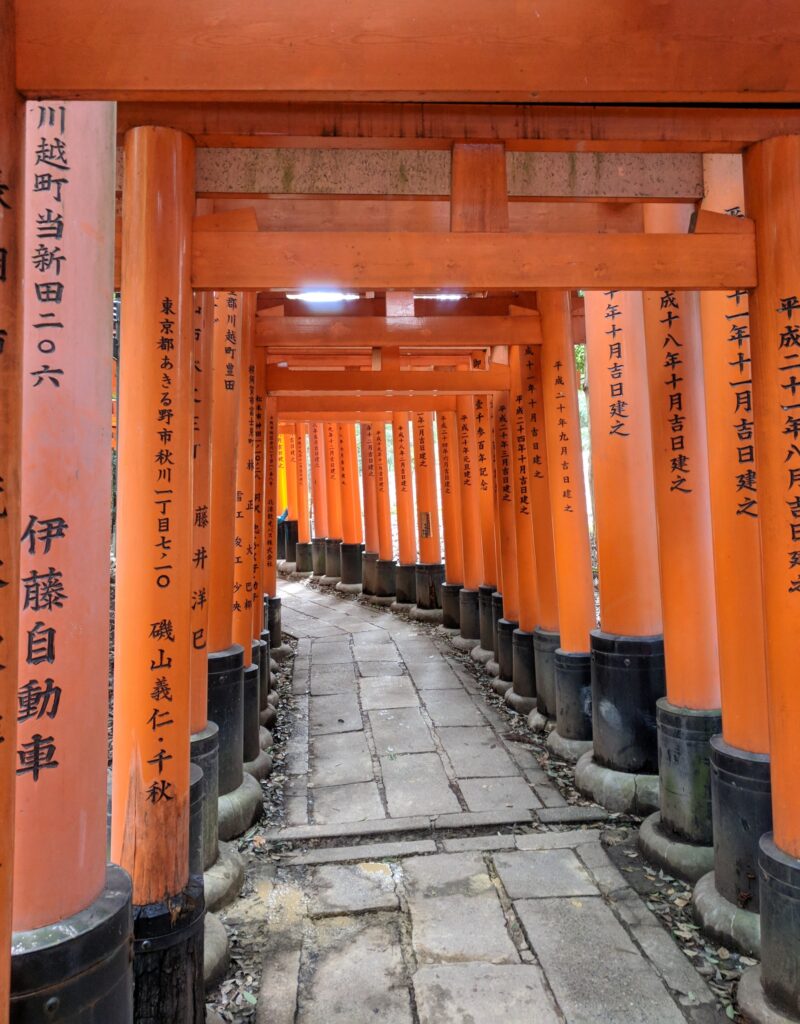 Free stock photo of Fushimi Inari