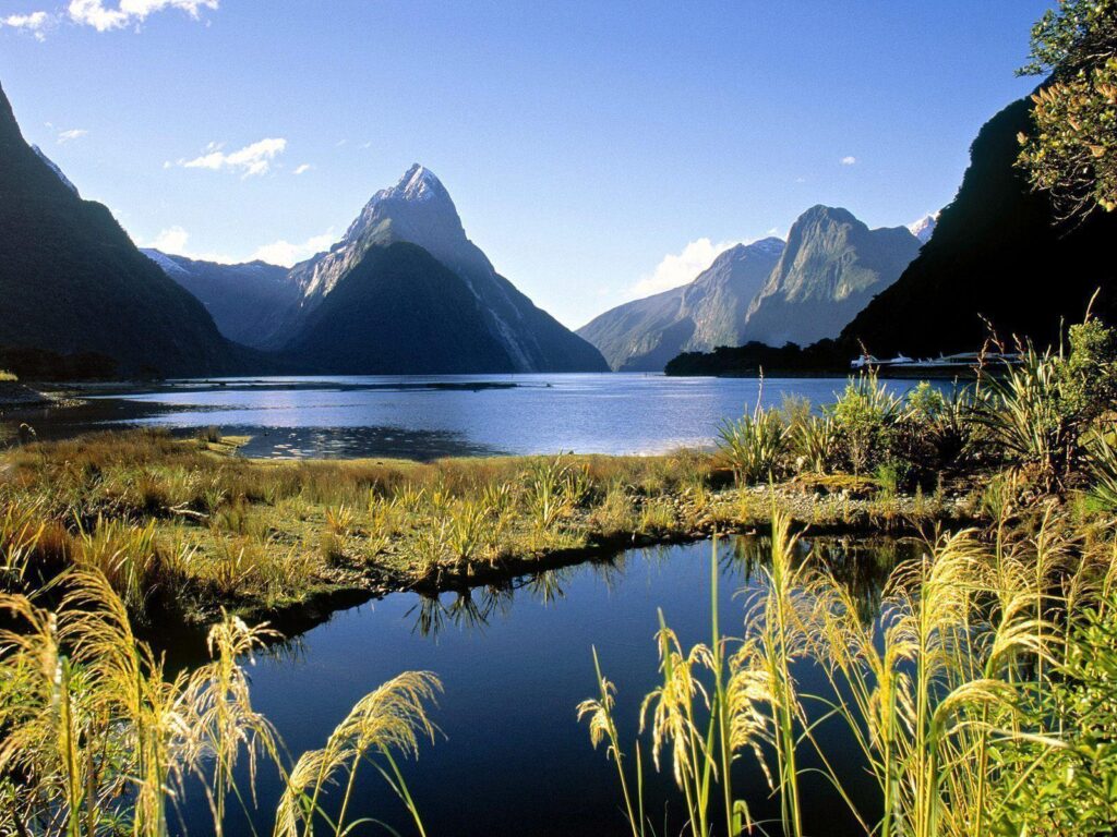 New zealand wallpapers