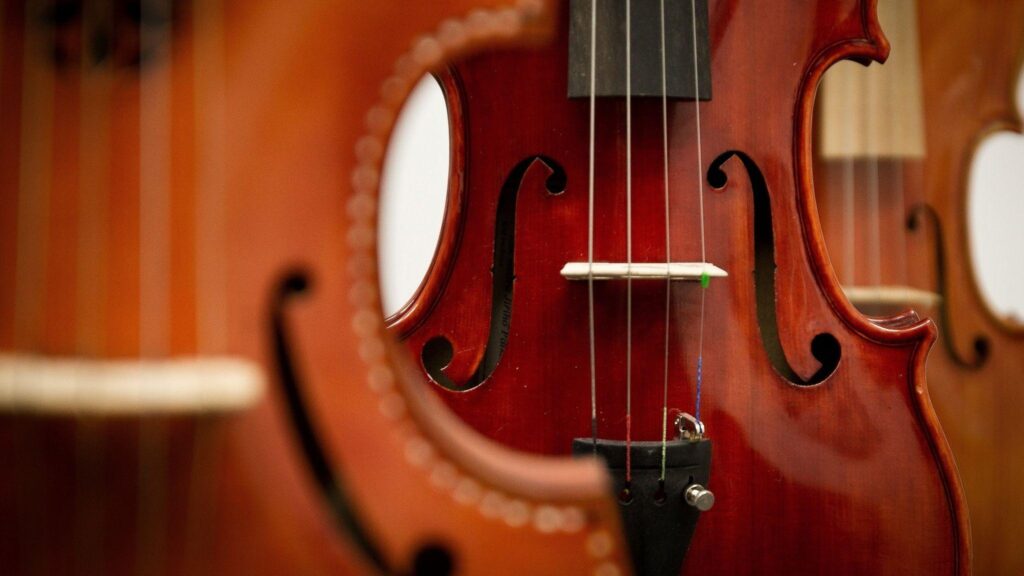 Download Wallpaper Bowed String Instrument, Bass Violin