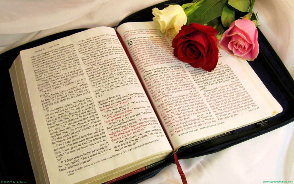 Roses on the Bible wallpapers