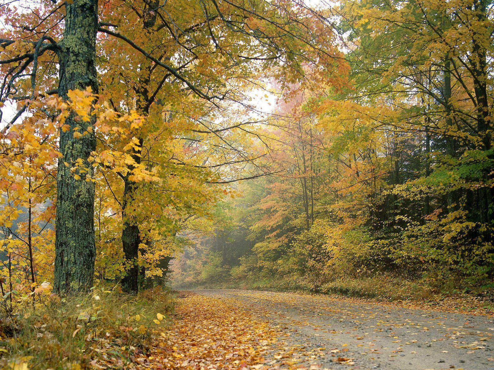 Crisp Autumn Afternoon Vermont 2K Wallpapers – 2K Wallpapers