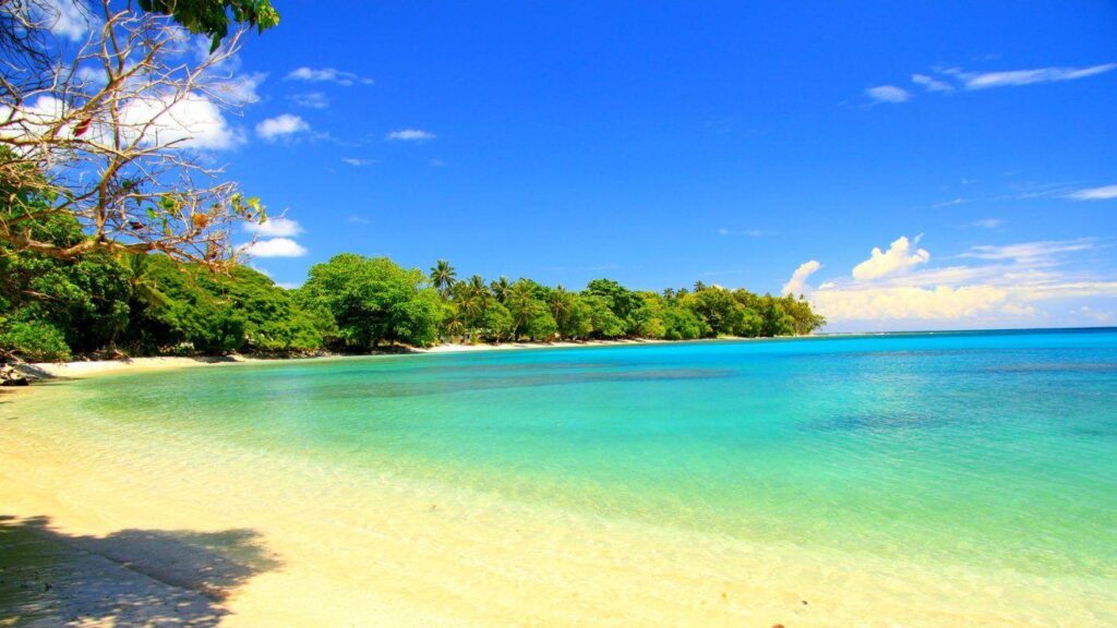 Beaches Islands Palm Guadalcanal Beach Trees Island Water Emerald