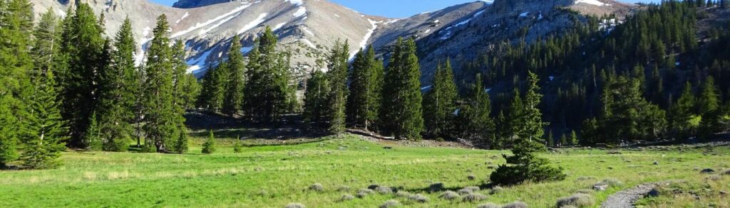 Great Basin National Park • Wallpaper • WallpaperFusion by Binary