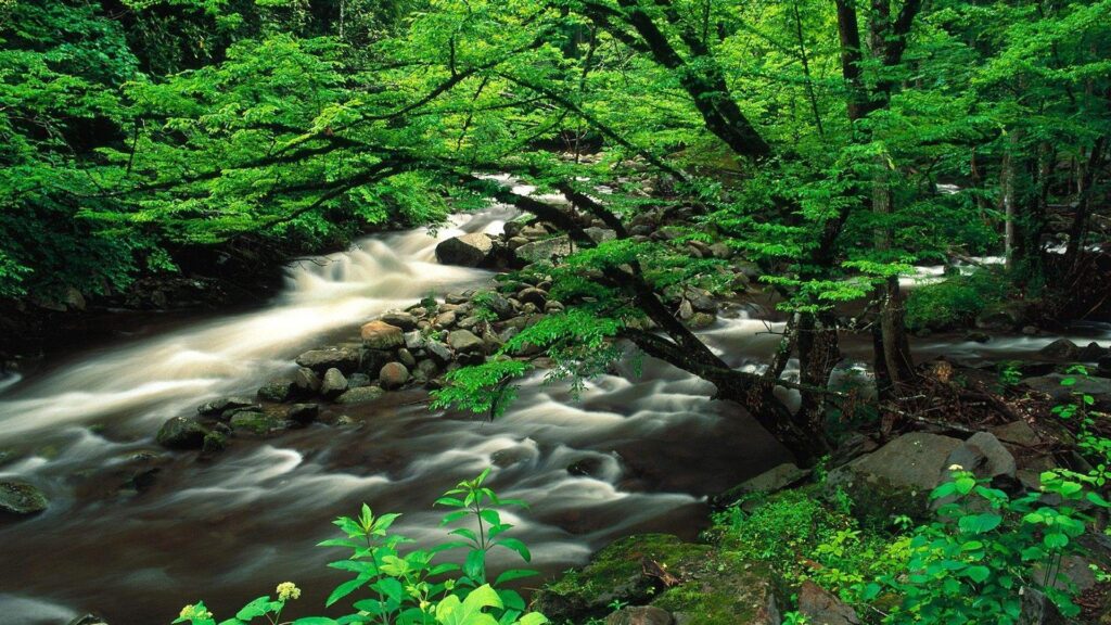 Landscapes Tennessee National Park Great Smoky Mountains wallpapers