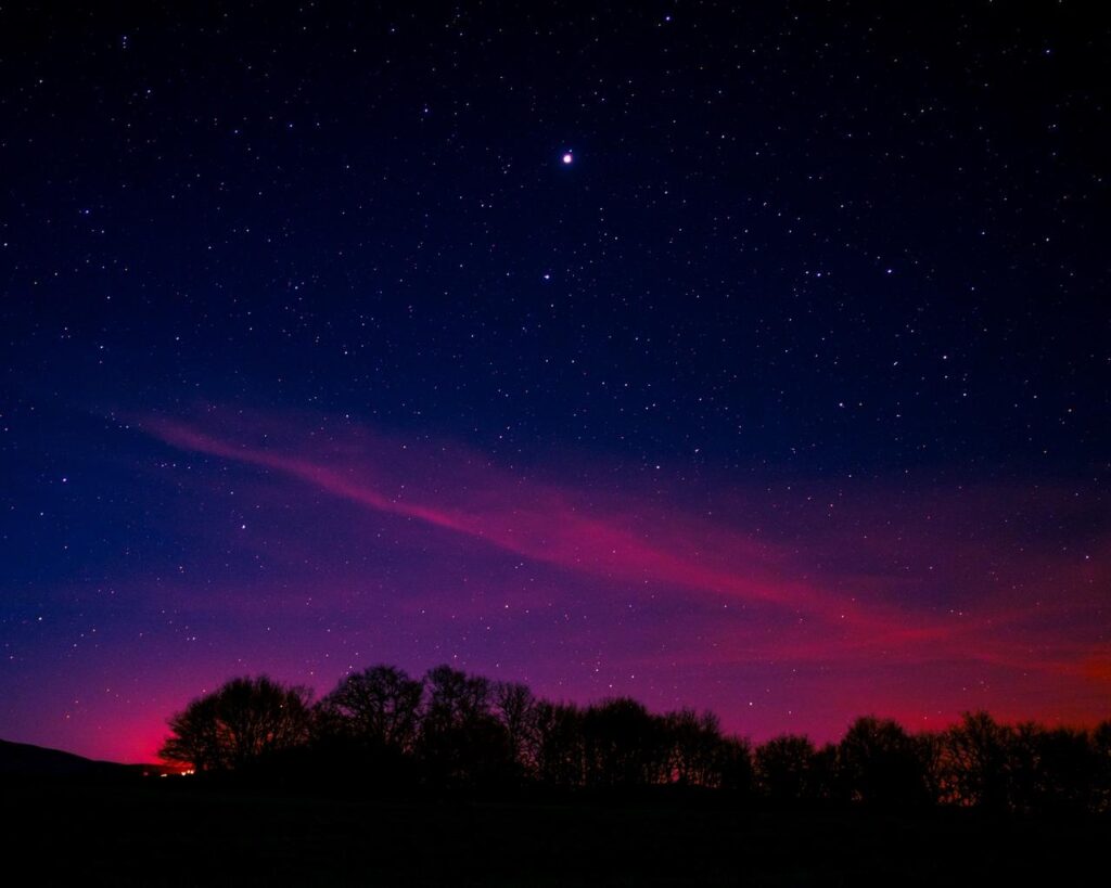 Download wallpapers starry sky, night, trees, clouds