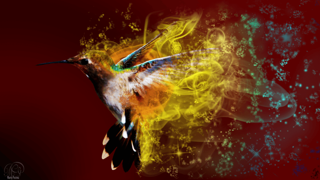 Hummingbird wallpapers by Sothyque