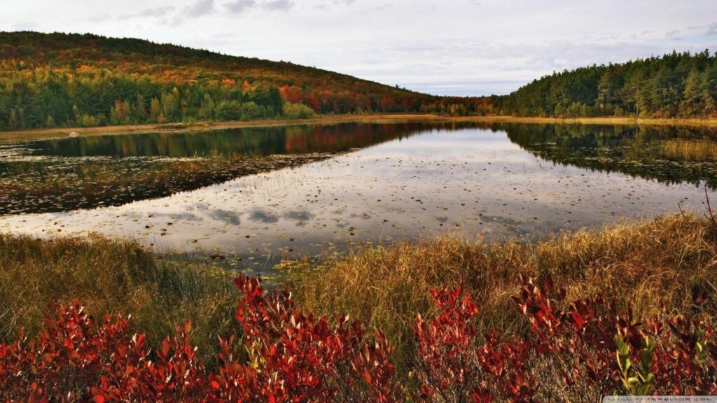Breakneck Pond, Acadia National Park, Maine 2K desk 4K wallpapers