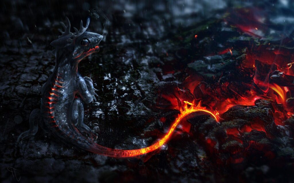 Salamander HD Wallpapers