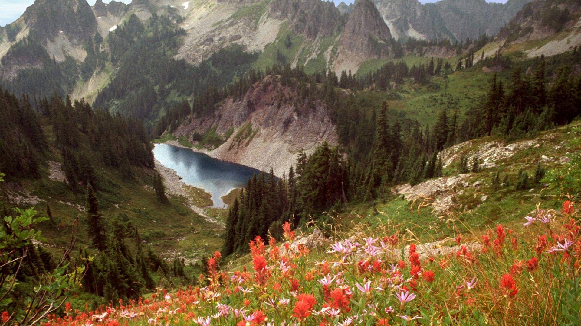 Download Wallpapers cliff lake, idaho, mountains, flowers