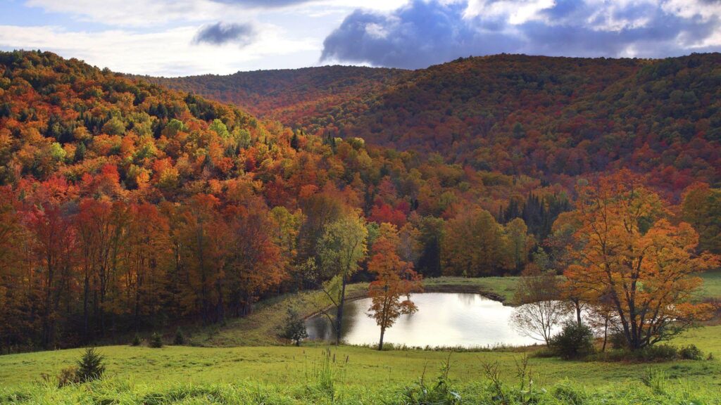 Mountain Valley Backgrounds