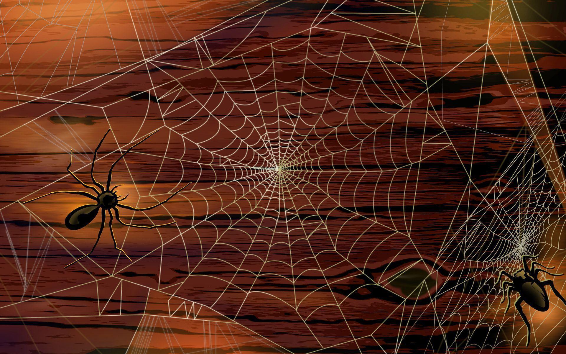 Scary Spider Wallpapers