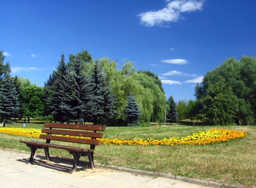 Misc Romania Bucharest Park Cloud Bank Blue Sky Summer Tree Flower
