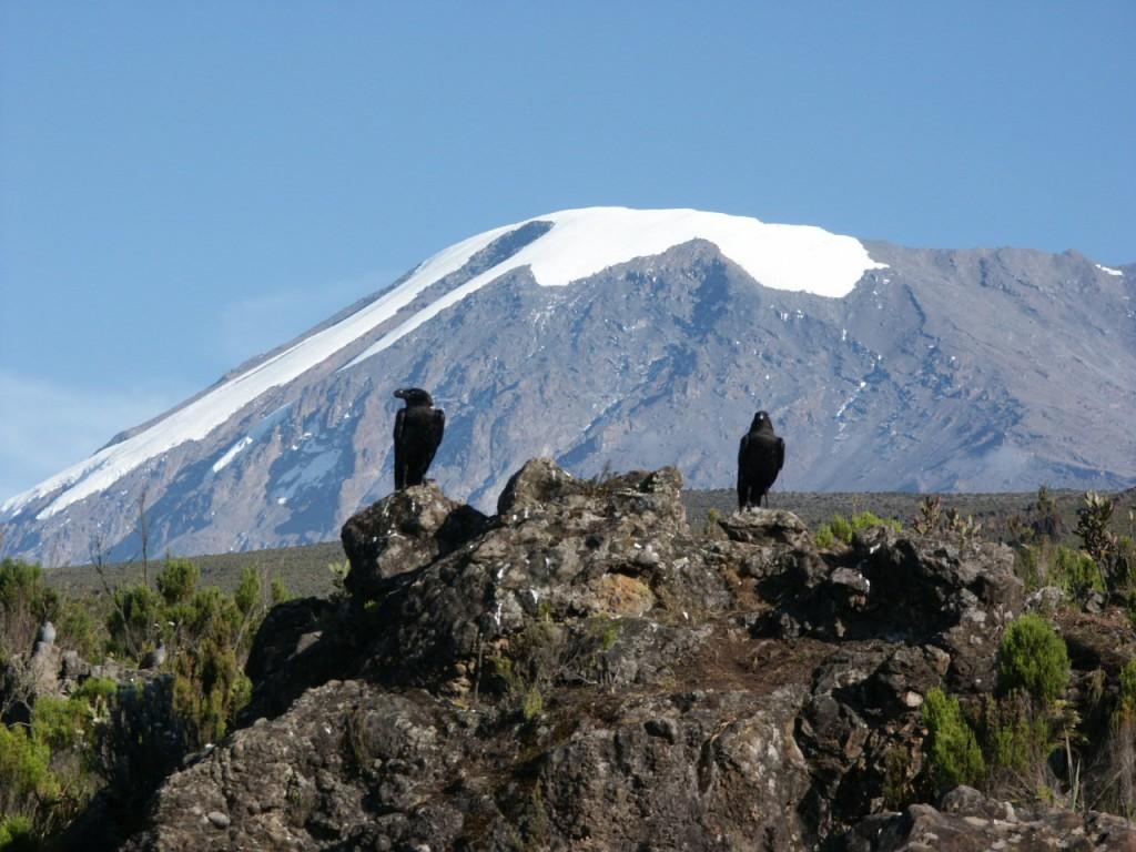 The snows of Kilimanjaro, and why seeing is believing – Mark Horrell