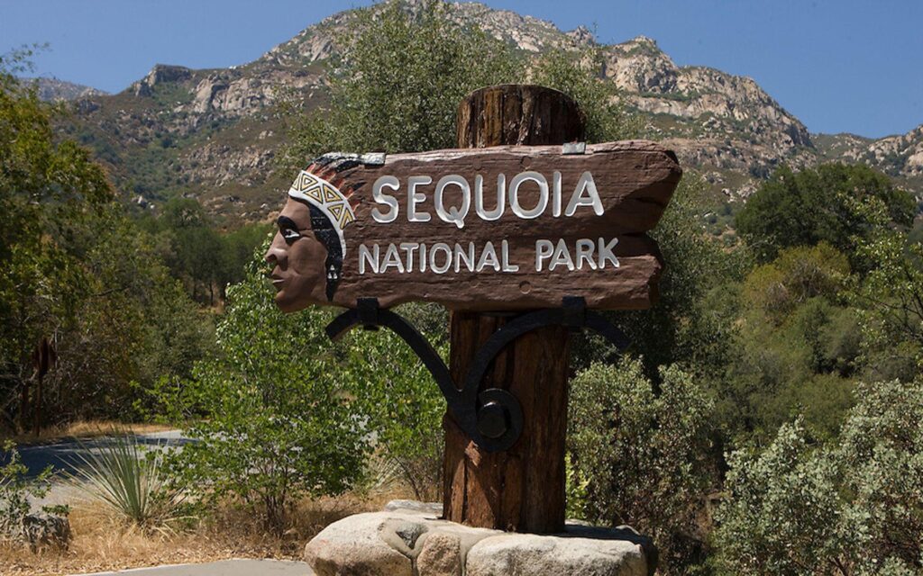 Sequoia National Park Wallpapers, 4K Ranked Sequoia National