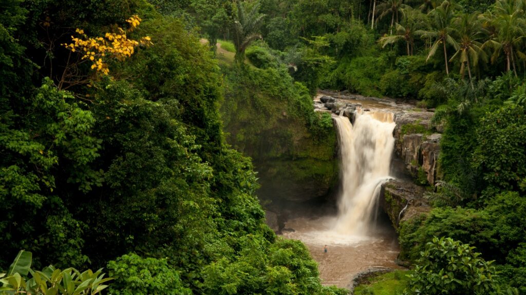 Bali Indonesia Waterfall in Forest Wallpapers