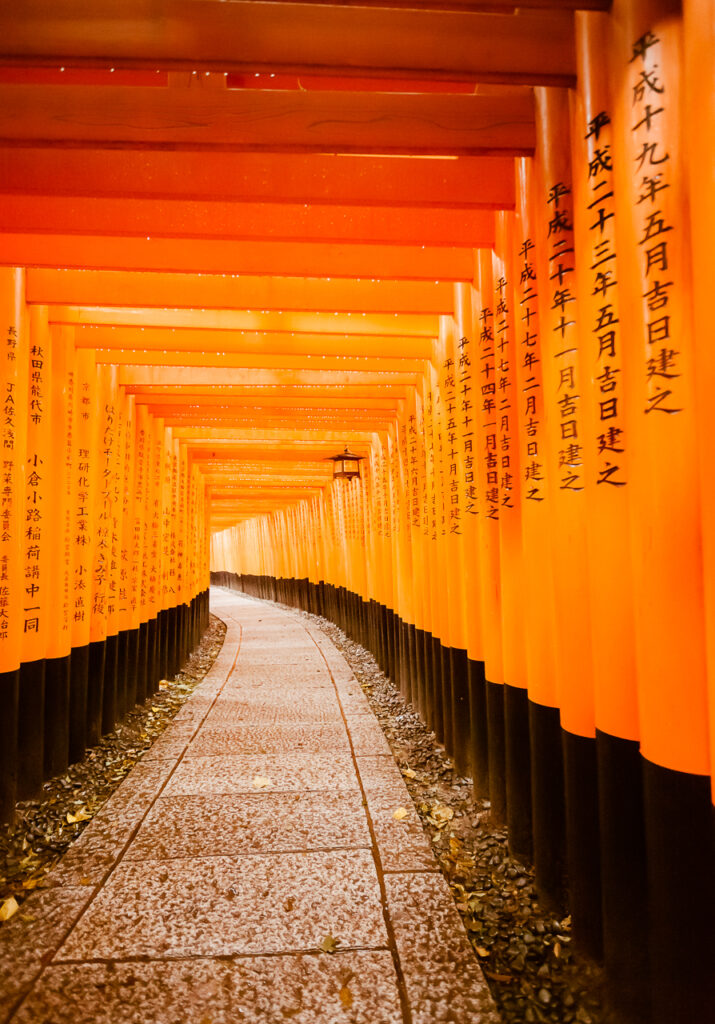 Torii Gates in the Rain at Fushimi Inari