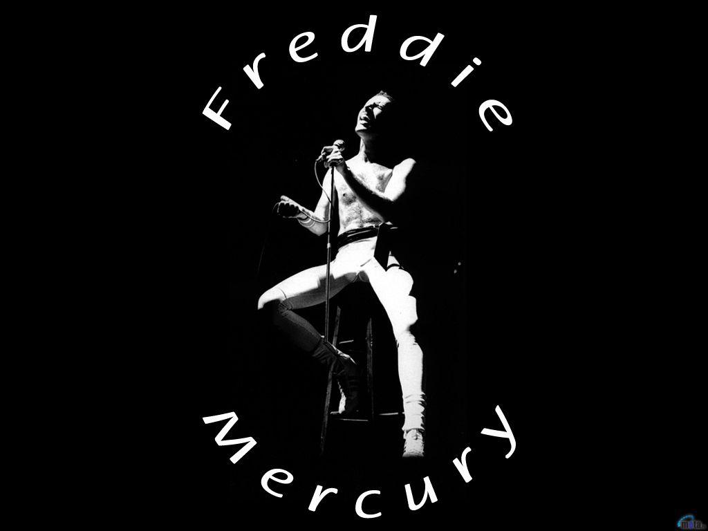 Wallpapers black, singer, Queen, Freddie Mercury, Freddie Mercury