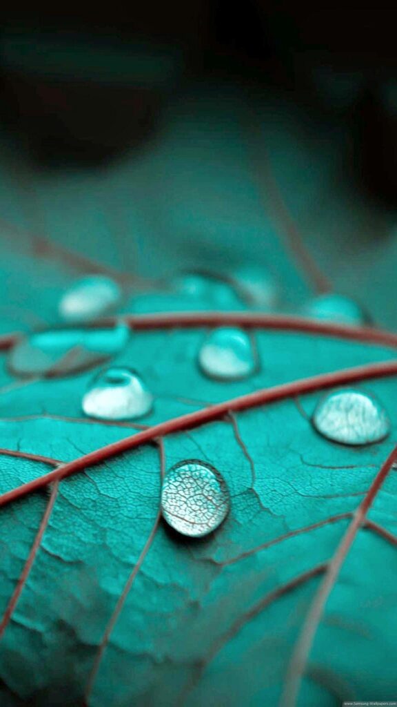 Drops Backgrounds Stock Samsung Galaxy S Wallpapers