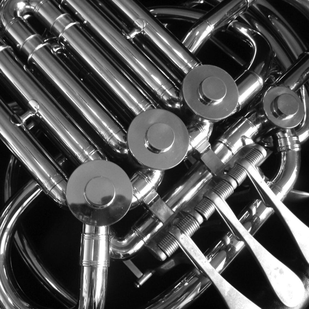 Spirals & Spatulas Clarinet Photos, French Horn Photos, and Piano