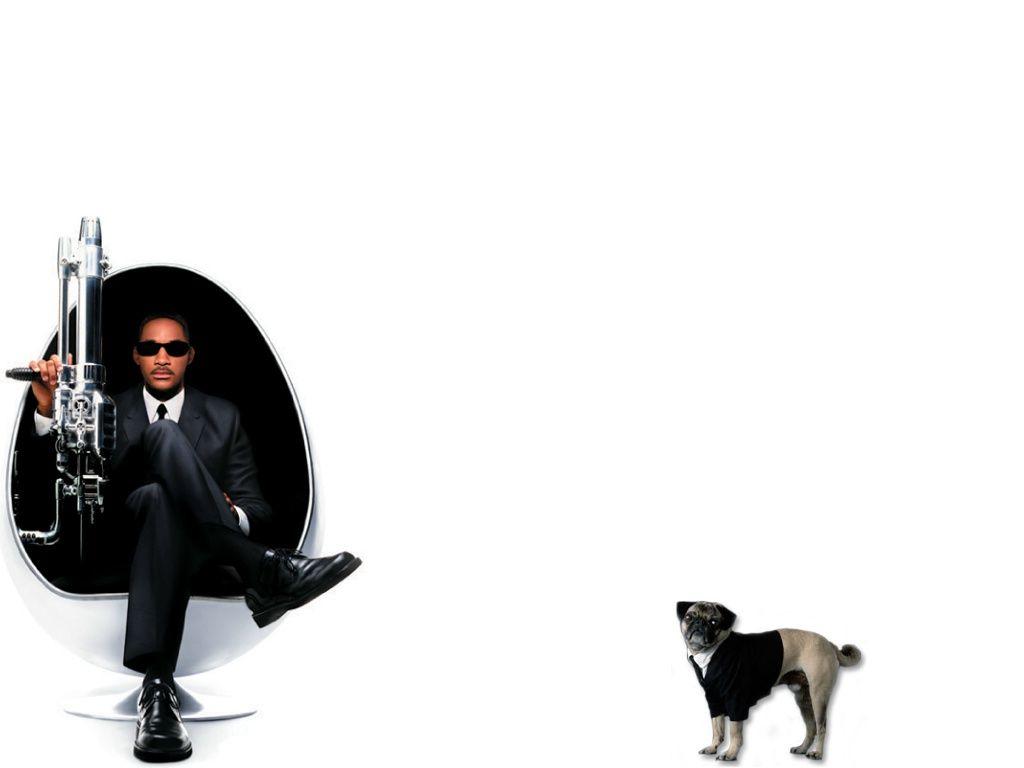 Download Wallpapers white dog actor will smith men in black ii