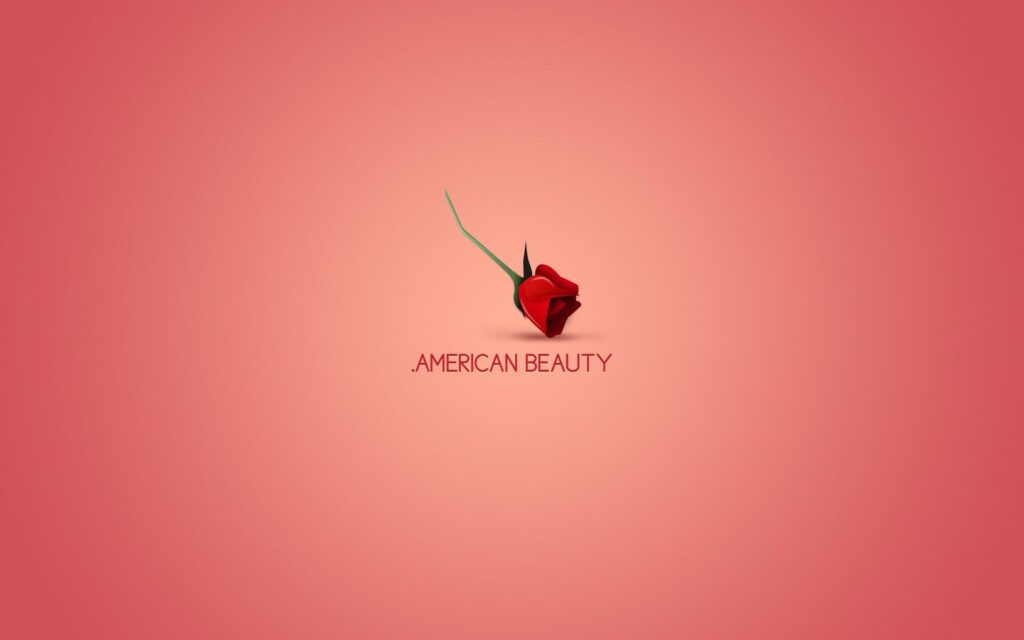 Minimalistic, movies, American Beauty Wallpapers