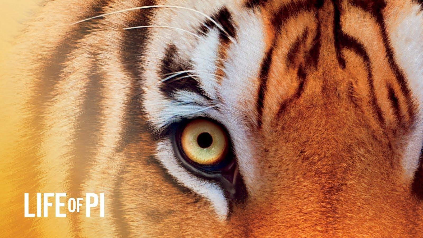 Rendered Bits Life of Pi Wallpapers