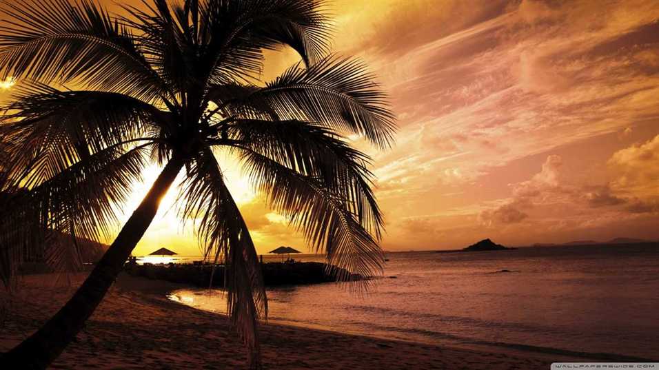 Download Sunset Beach Wallpapers pictuers)