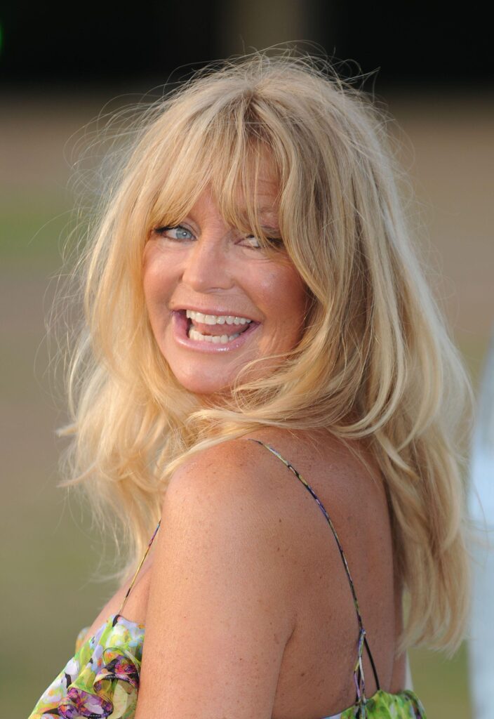 Goldie Hawn Wallpaper The Elephant Parade auction 2K wallpapers and