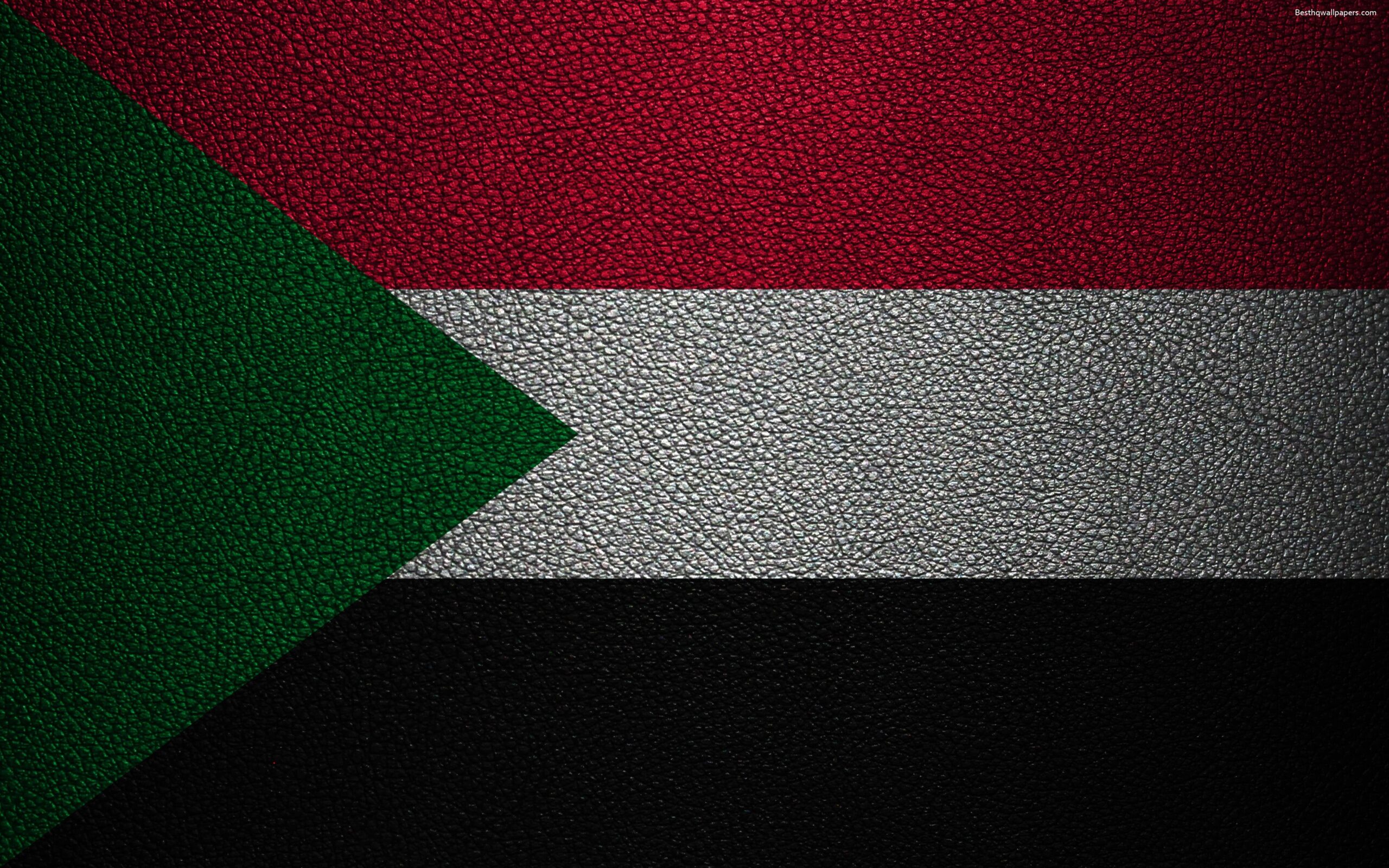 Download wallpapers Flag of Sudan, Africa, K, leather texture