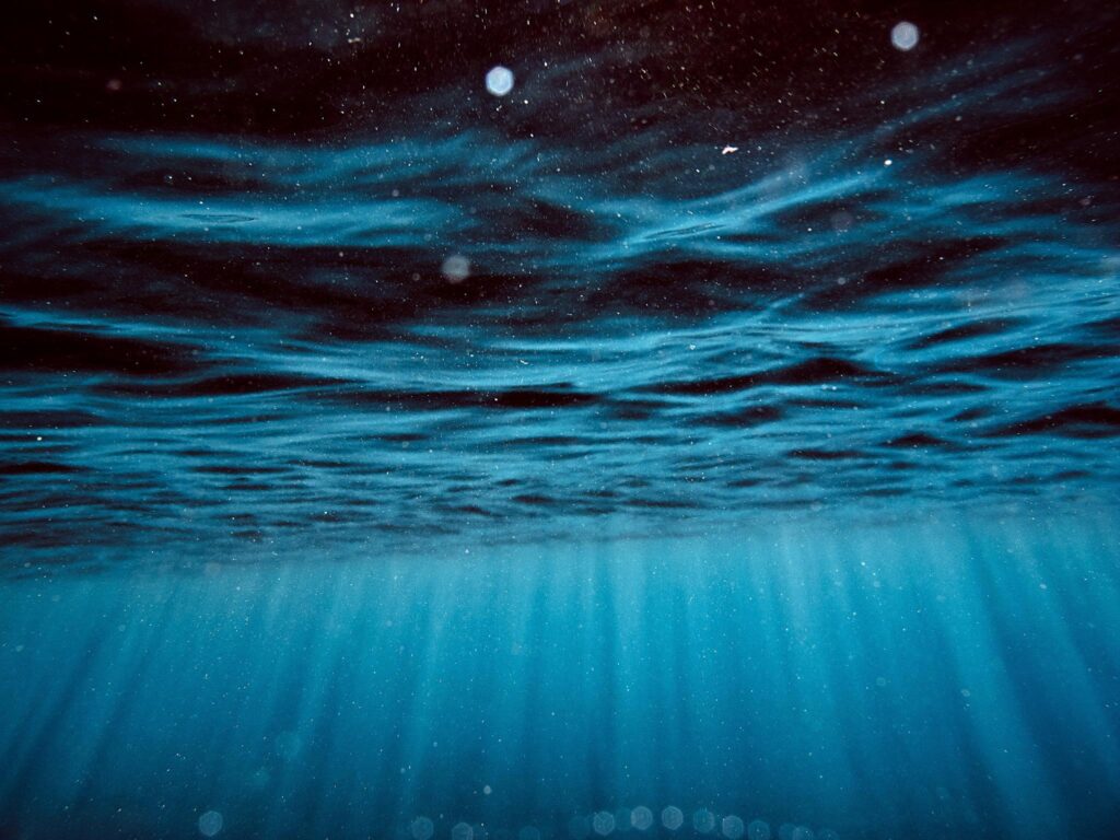 Underwater 2K Wallpapers