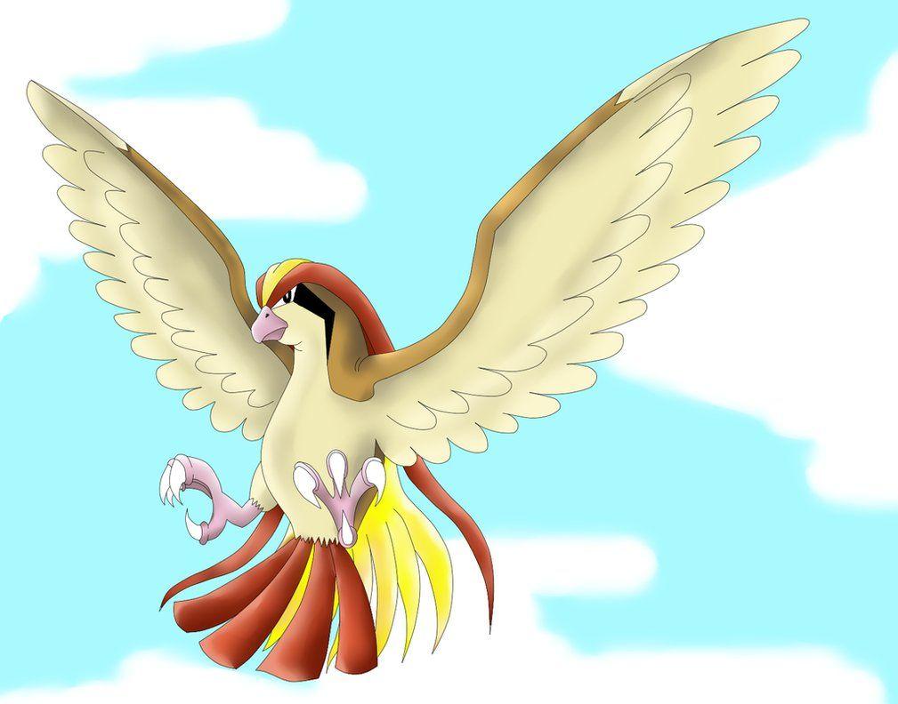 Pidgeot preparing to attack by phoenixn