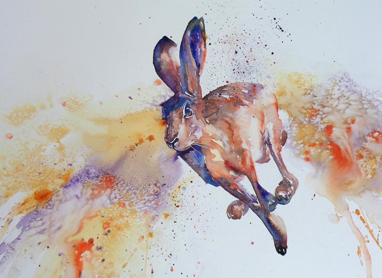 Desk 4K Wallpapers Hares Run Pictorial art animal Painting Art