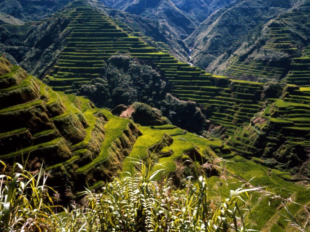 Wallpaper of Banaue Rice Terraces Wallpapers